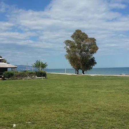 Appartement De 3 Dormitorios, 1º Linea De Playa En Marina Dor *